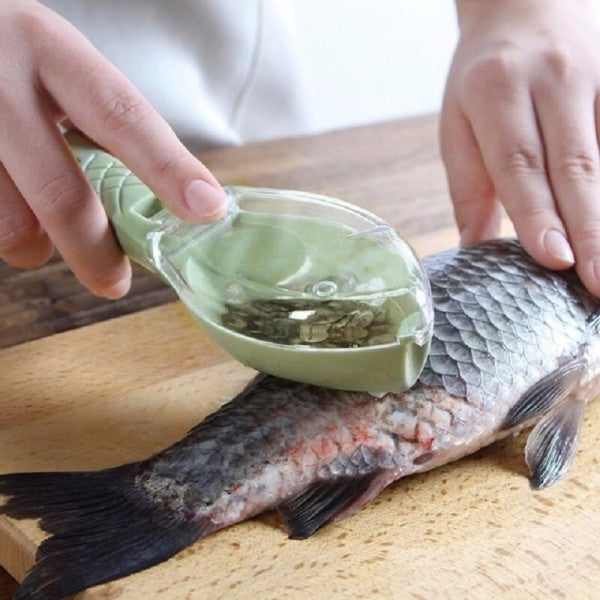 Descamador de Peixe com Coletor