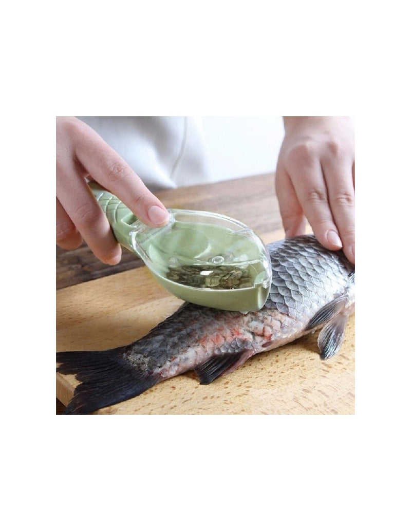 Descamador de Peixe com Coletor