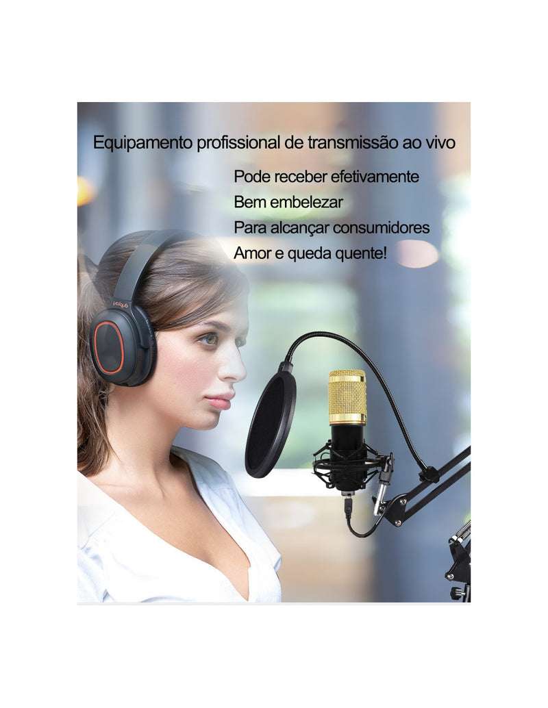 Microfone Condensador Profissional QA-T556